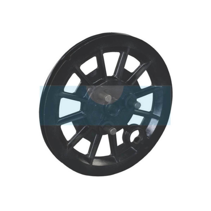 Poulie de lanceur pour As Motor (E10737)