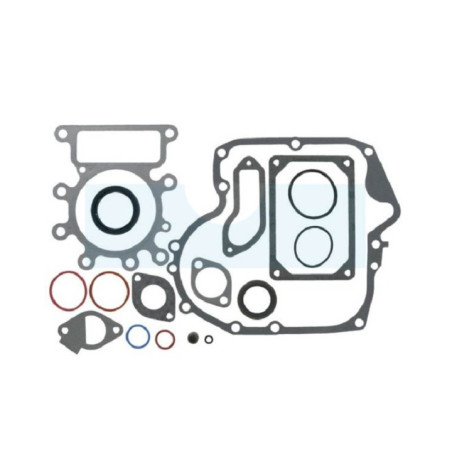 Pochette de joint pour moteur Briggs & Stratton (796181)