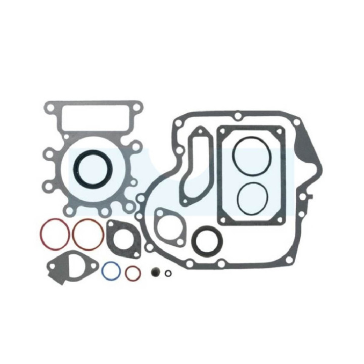 Pochette de joint pour moteur Briggs & Stratton (796181)