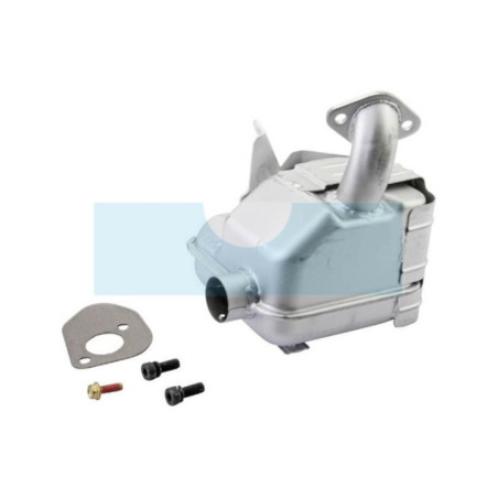 Pot d'échappement pour moteur Briggs & Stratton (794949)