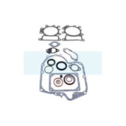 Pochette de joint pour moteur Briggs & Stratton (697191)
