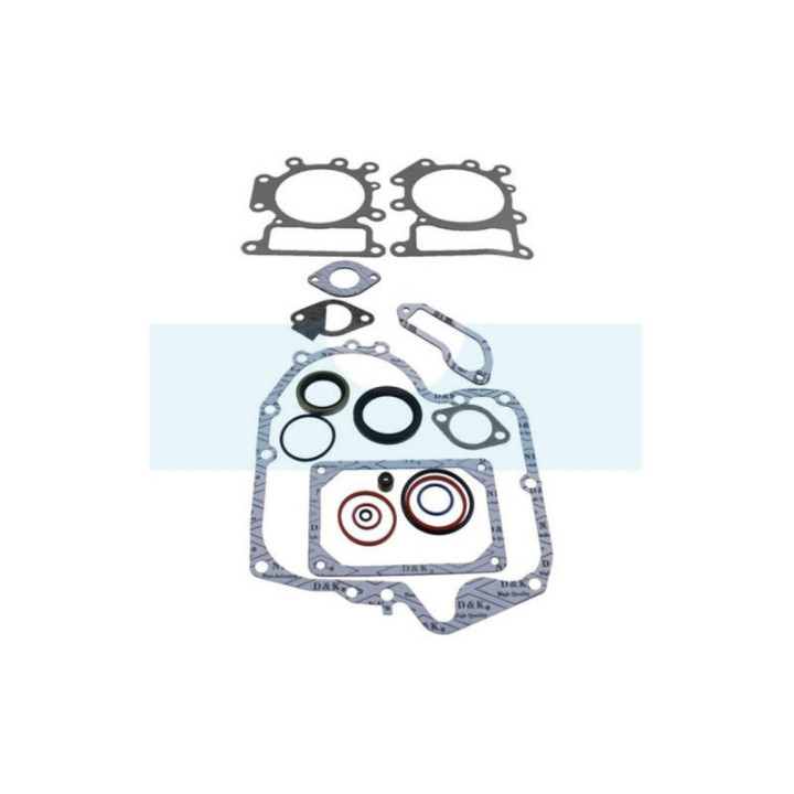Pochette de joint pour moteur Briggs & Stratton (697191)