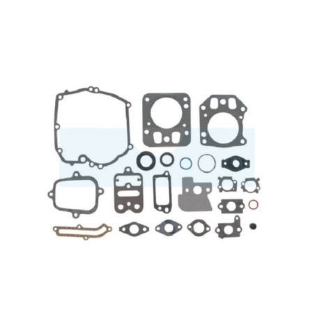 Pochette de joint pour moteur Briggs & Stratton (795442)