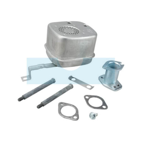 Pot d'échappement pour moteur Briggs & Stratton (795998)
