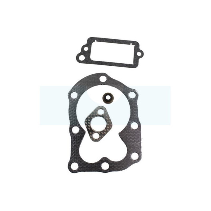 Pochette de joint pour moteur Briggs & Stratton (498526)