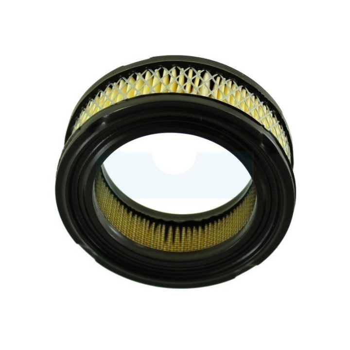 Filtre à air pour moteur Tecumseh (30804)