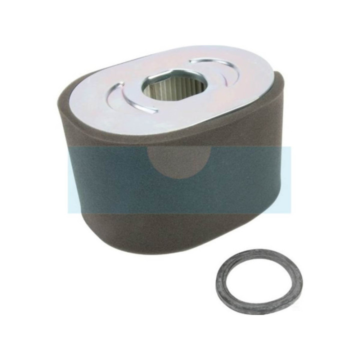 Filtre à air pour moteur Briggs & Stratton (799818)