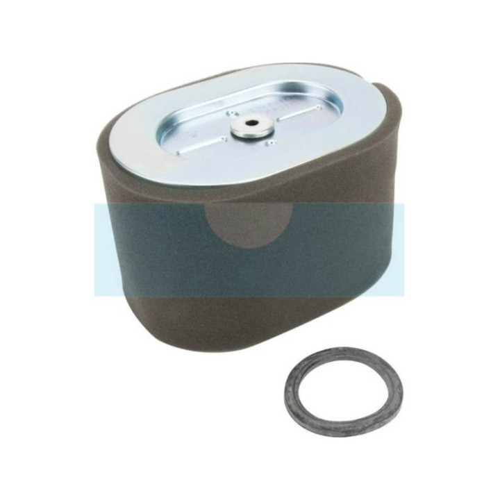 Filtre à air pour moteur Briggs & Stratton (799818)