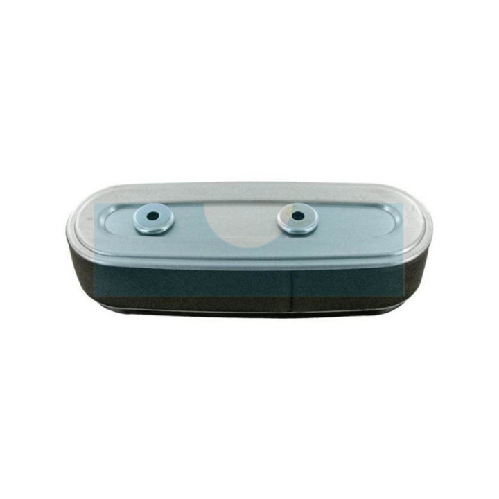 Filtre à air pour moteur Briggs & Stratton (841856)