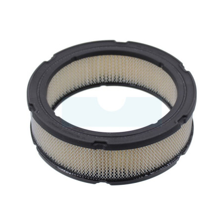Filtre à air pour moteur Briggs & Stratton (841359)