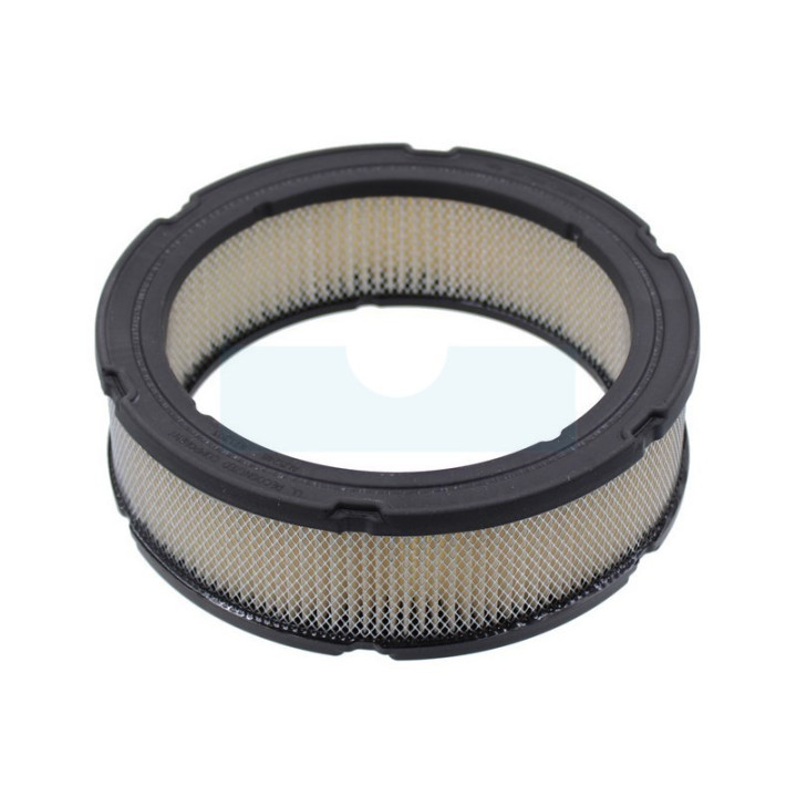 Filtre à air pour moteur Briggs & Stratton (841359)