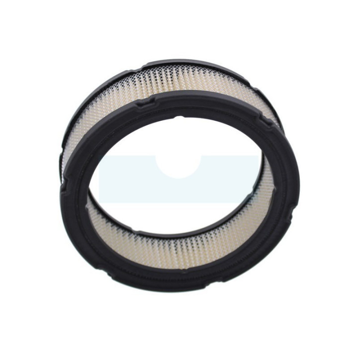 Filtre à air pour moteur Briggs & Stratton (841359)