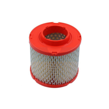 Filtre à air pour moteur Briggs & Stratton (845090)