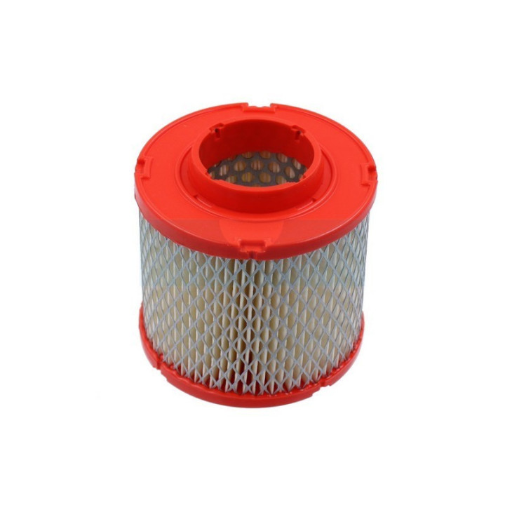 Filtre à air pour moteur Briggs & Stratton (845090)
