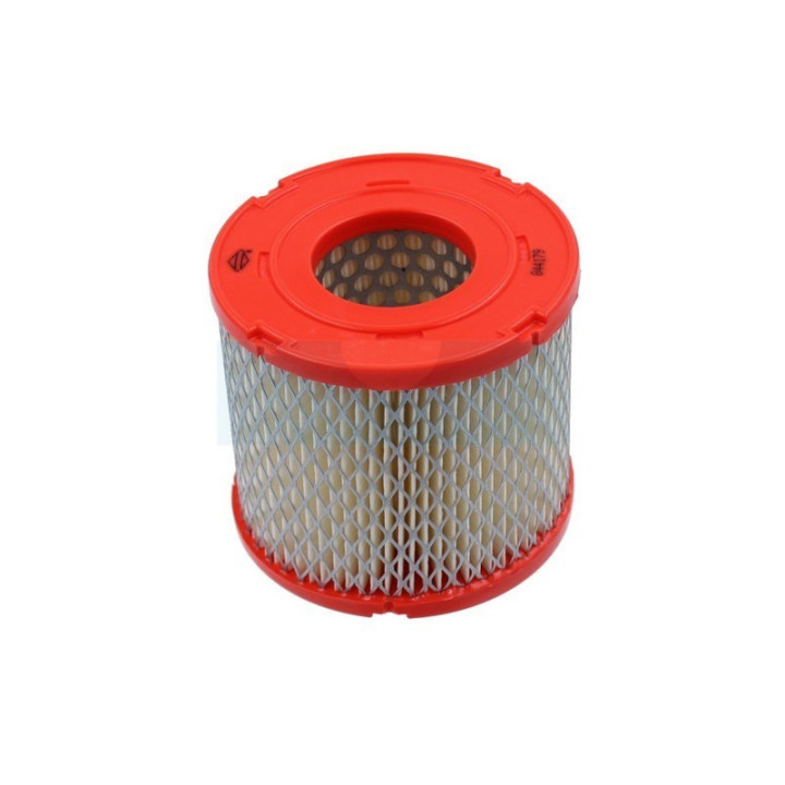 Filtre à air pour moteur Briggs & Stratton (845090)