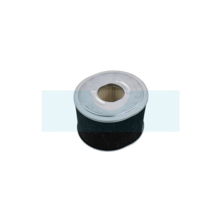 Filtre à air pour moteur Briggs & Stratton (592605)