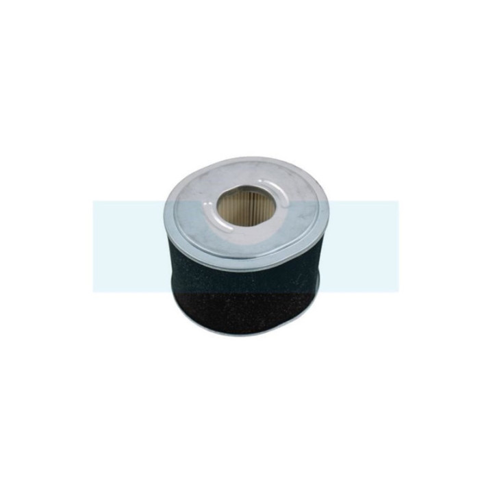 Filtre à air pour moteur Briggs & Stratton (592605)