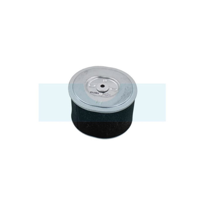 Filtre à air pour moteur Briggs & Stratton (592605)