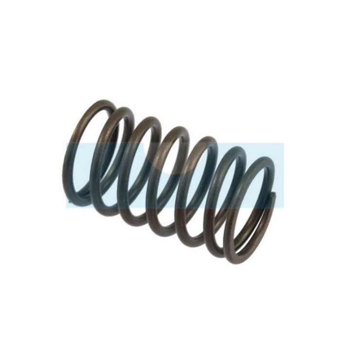 Ressort de soupape pour moteur Briggs & Stratton (691270)