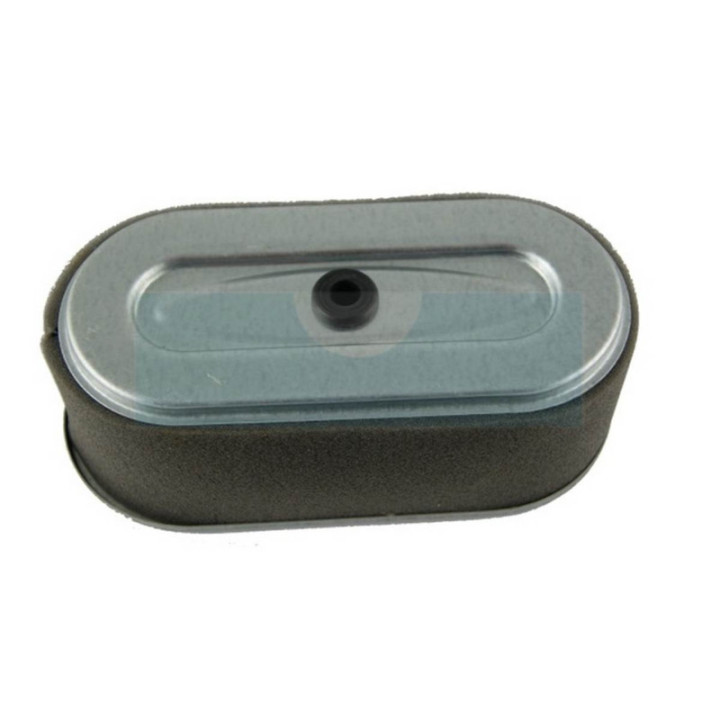 Filtre à air pour moteur Robin (2203281204)