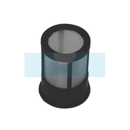 Filtre à carburant pour moteur Briggs & Stratton (691370)