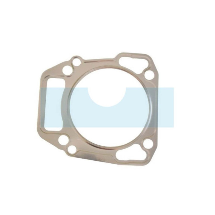 Joint de culasse pour moteur Briggs & Stratton (710539)