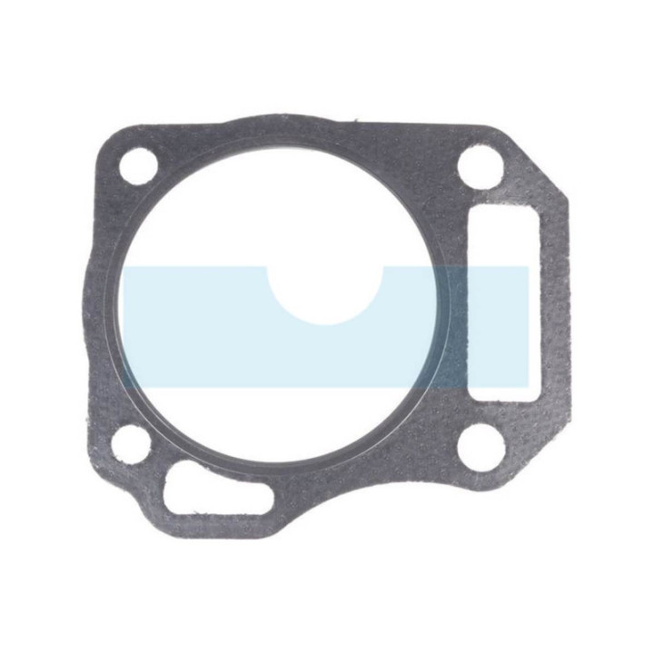 Joint de culasse pour moteur Briggs & Stratton (591445)