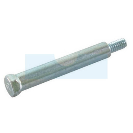 Boulon pour moteur Briggs & Stratton (691340)