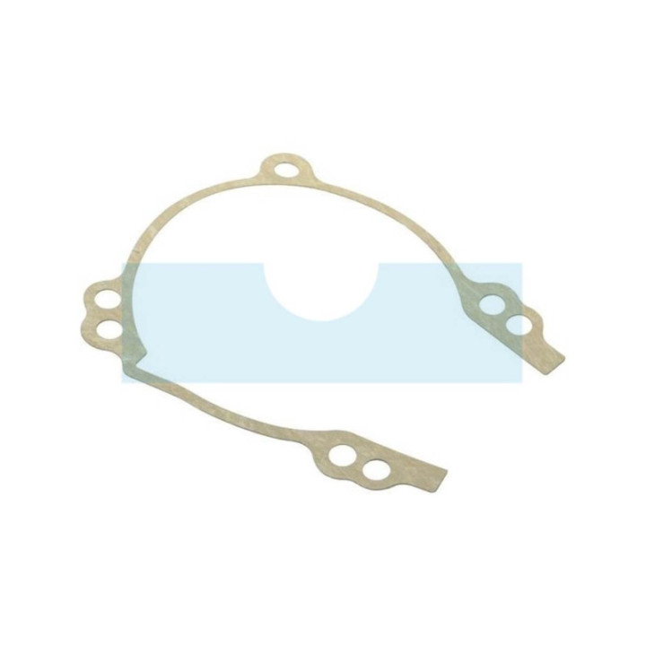 Joint de carter pour moteur Briggs & Stratton (800055)