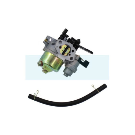 Carburateur pour moteur Honda (16100zl0w51)