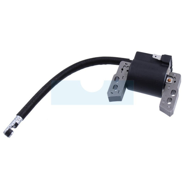Bobine d'allumage pour moteur Briggs & Stratton (796964)
