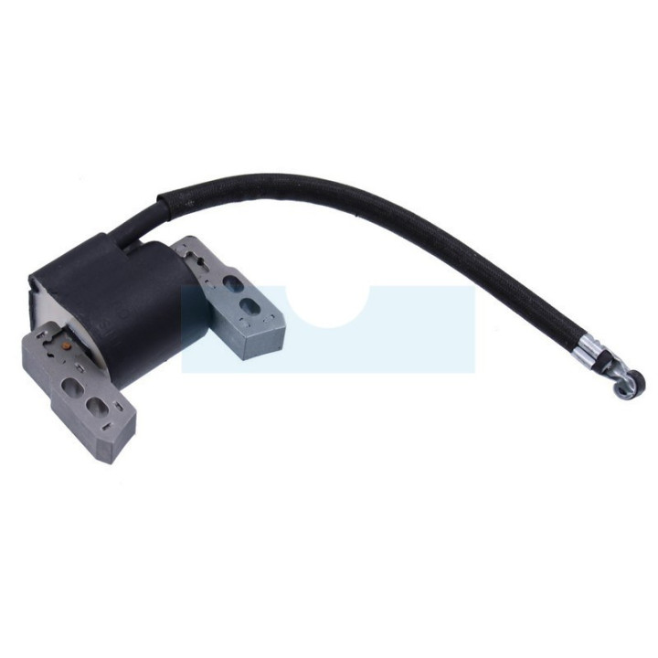 Bobine d'allumage pour moteur Briggs & Stratton (796964)