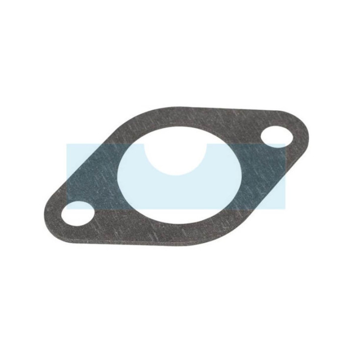 Joint d'admission pour moteur Briggs & Stratton (691885)