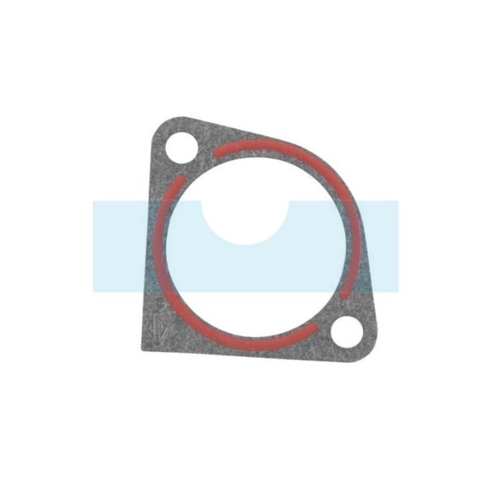 Joint d'admission pour moteur Briggs & Stratton (273326S)