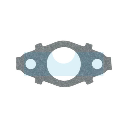 Joint d'admission pour moteur Briggs & Stratton (791718)