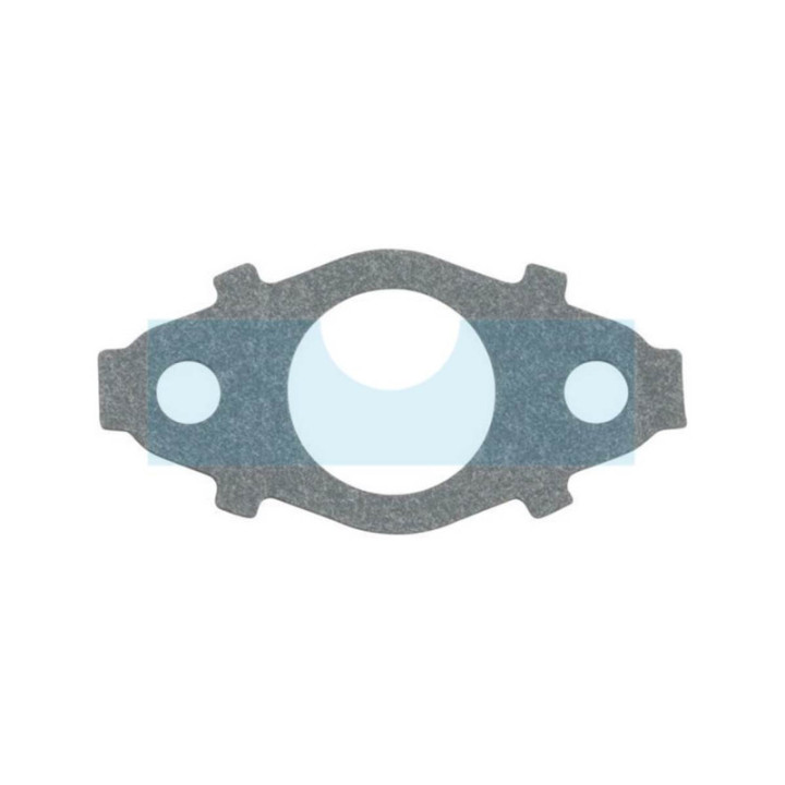 Joint d'admission pour moteur Briggs & Stratton (791718)