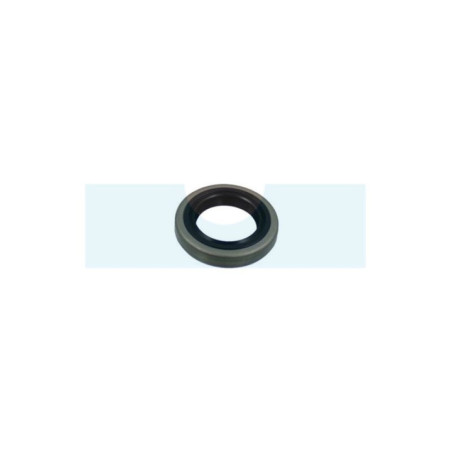 Joint spi pour tronçonneuse Echo (V508000070)