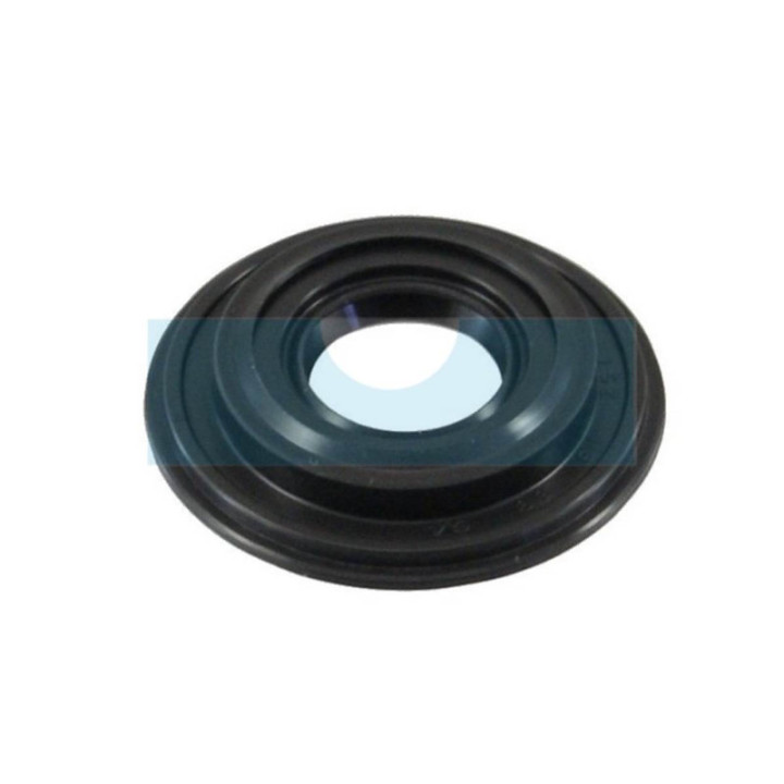 Joint spi pour tronçonneuse Echo (V508000000)