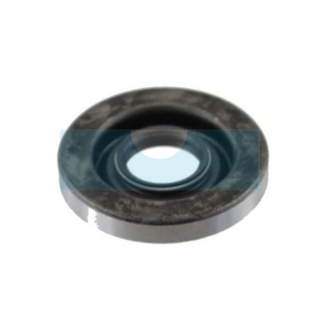 Joint spi pour tronçonneuse Echo (10021232430)
