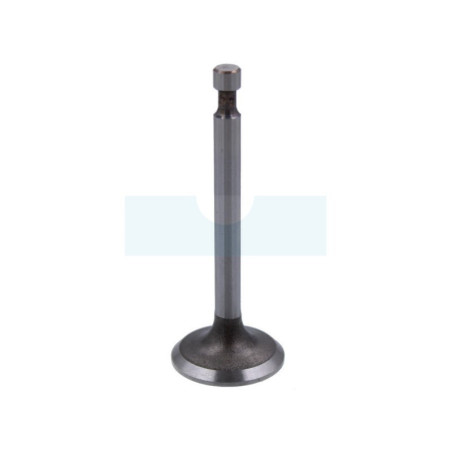 Soupape d'échappement pour moteur / tondeuse Honda (14721ZL8000)