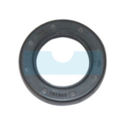 Joint spi pour moteur Briggs & Stratton (399781S)