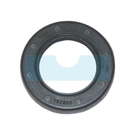 Joint spi pour moteur Briggs & Stratton (399781S)