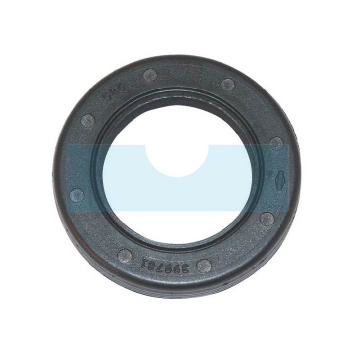 Joint spi pour moteur Briggs & Stratton (399781S)