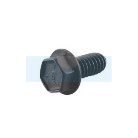 Vis de carter pour moteur Briggs & Stratton (691108)
