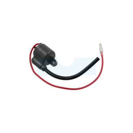 Bobine d'allumage pour débroussailleuse Echo (A411000191)