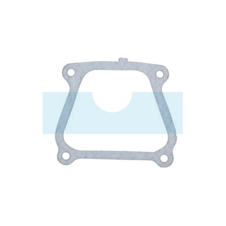 Joint de cache soupape pour moteur Briggs & Stratton (710024)