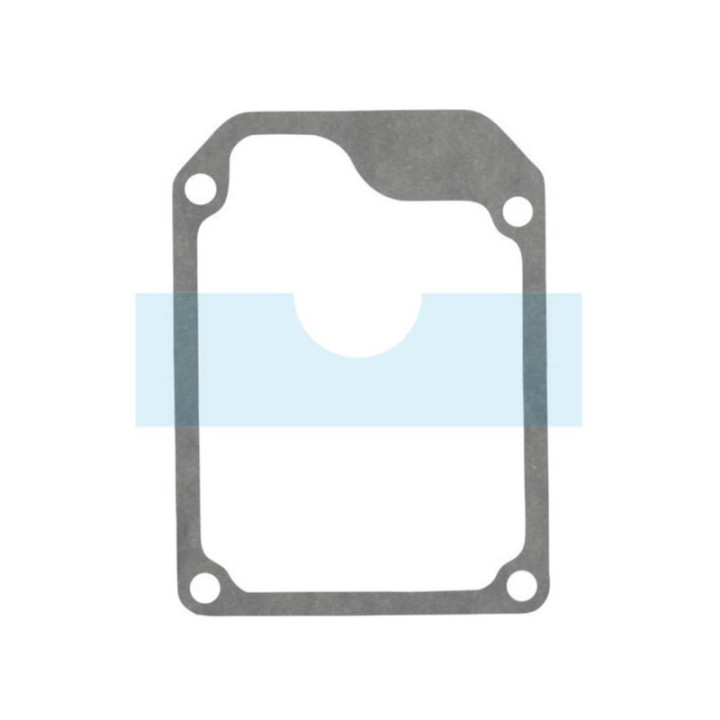 Joint de cache soupape pour moteur Briggs & Stratton (272131)