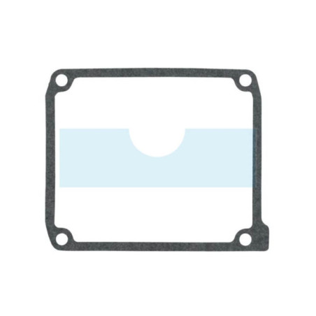Joint de cache soupape pour moteur Briggs & Stratton (843713)