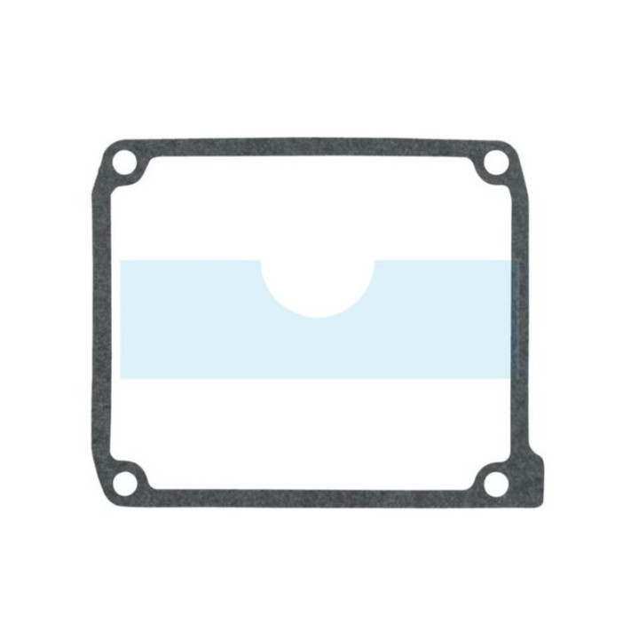 Joint de cache soupape pour moteur Briggs & Stratton (843713)