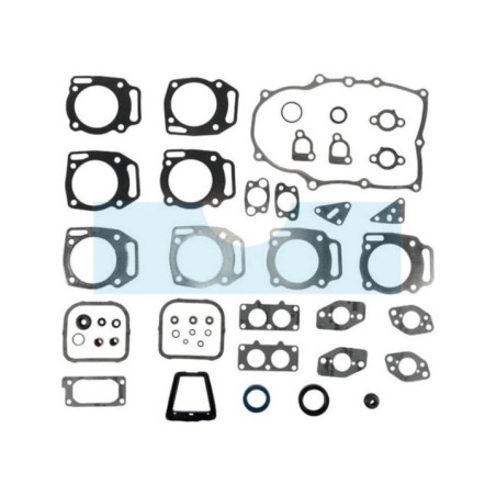 Pochette de joint pour moteur Briggs & Stratton (847319)